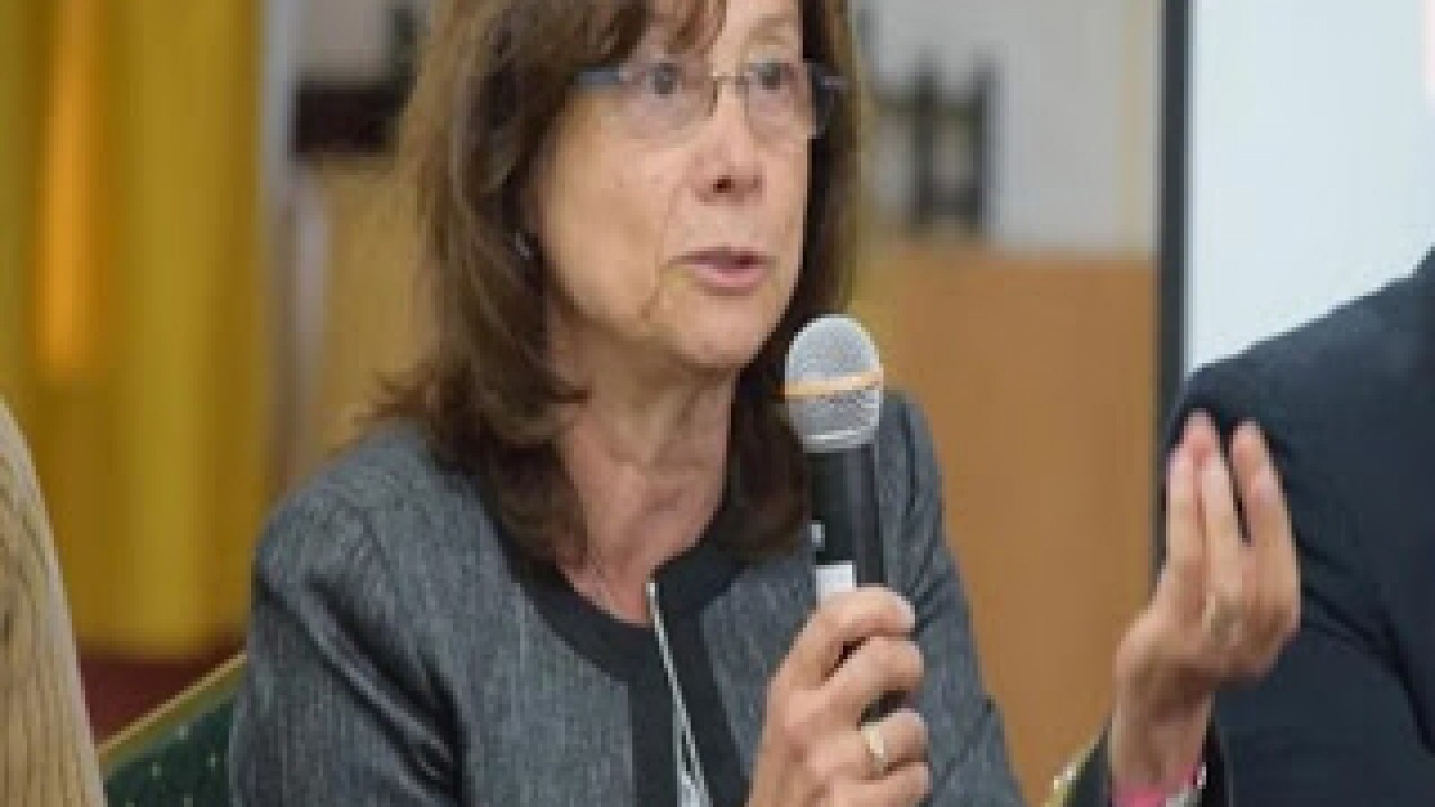 Tierra del Fuego: acusan a Jueza Battaini de persecución y acoso